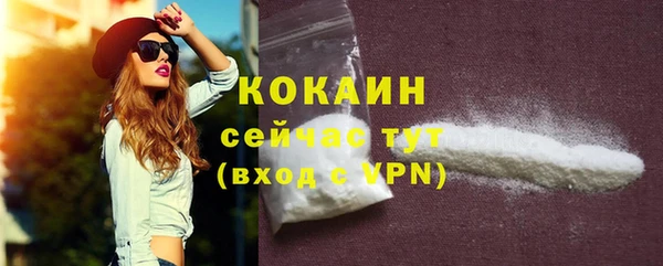 2c-b Горняк