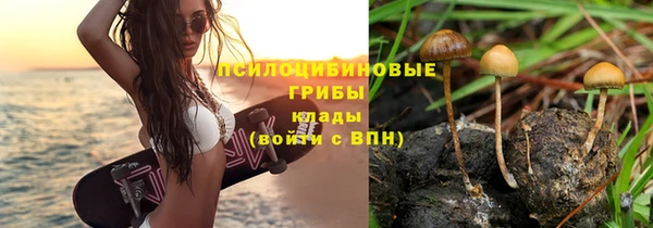марки nbome Горнозаводск