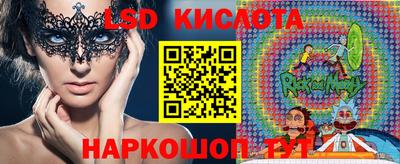 не бодяженный Гай