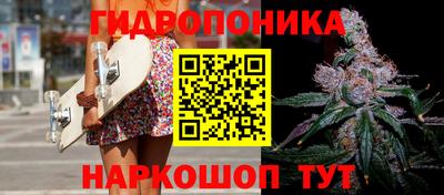 тгк Гатчина