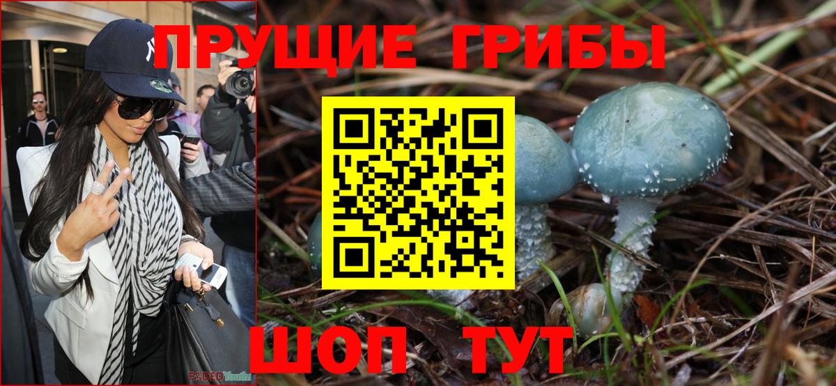 Псилоцибиновые грибы Psilocybe  Ейск 
