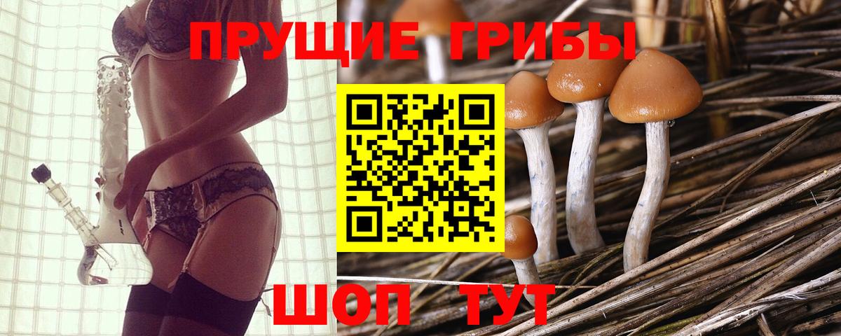 Псилоцибиновые грибы прущие грибы Ейск